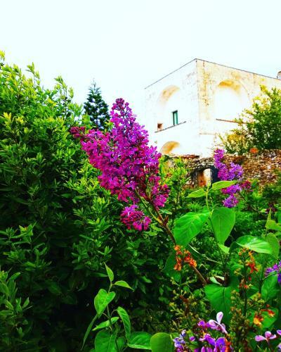 Bed & Breakfast Masseria Delle Rose