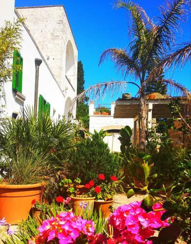 Bed & Breakfast Masseria Delle Rose
