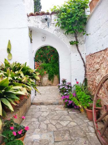 Bed & Breakfast Masseria Delle Rose