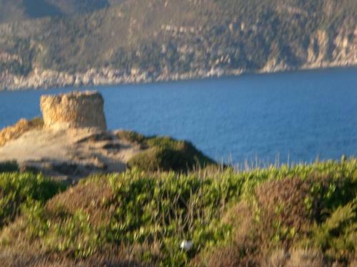 B&B Edera & Giglio