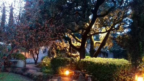 Hotel Logis H�tel R�sidence Les C�dres