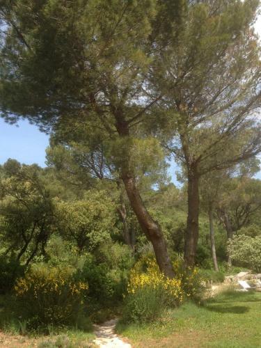 Bed & Breakfast New Cabanon