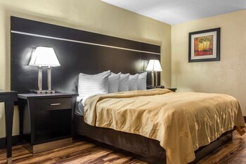 Hotel Quality Inn Goose Creek