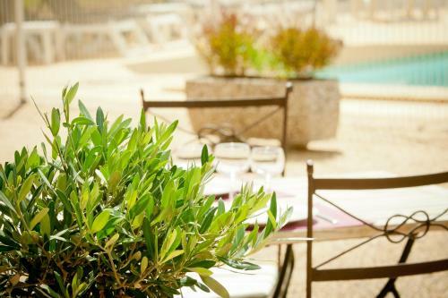 Hotel Cot� Ventoux