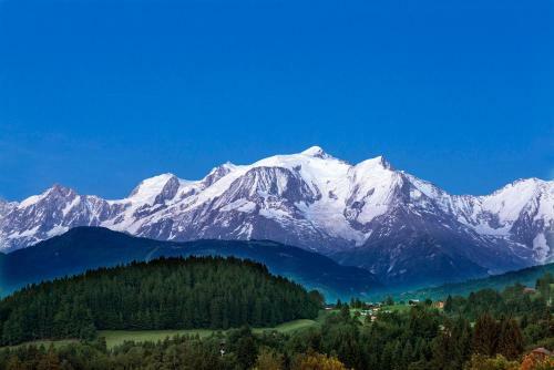 Hotel Les Roches Fleuries