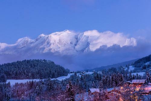 Hotel Les Roches Fleuries