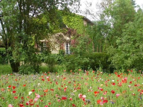 Hostal Une Campagne En Provence