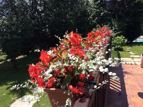 Bed & Breakfast Demeure D'h�tes Les Irisynes