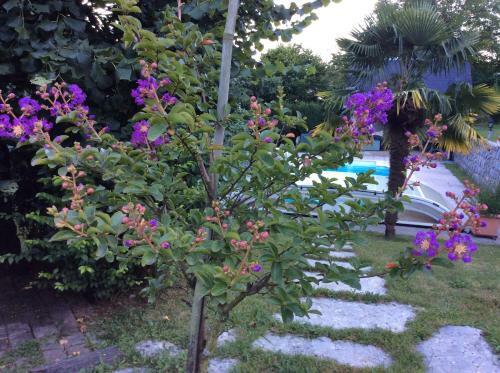 Bed & Breakfast Demeure D'h�tes Les Irisynes