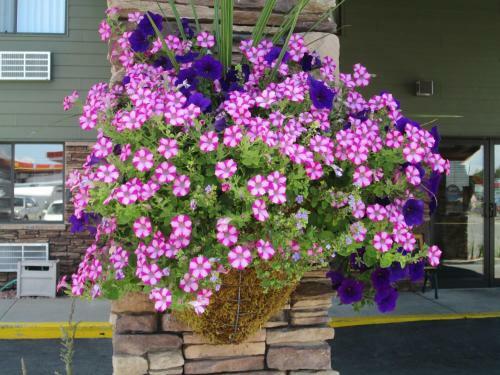 Hotel Super 8 Columbus