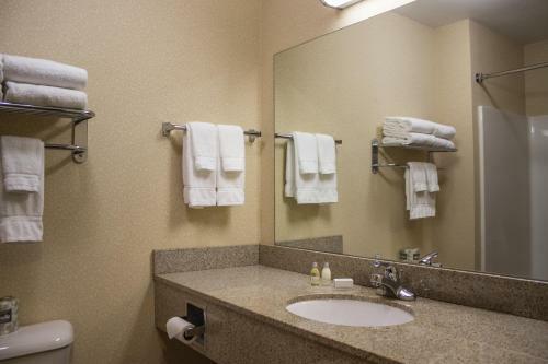 Hotel Boarders Inn & Suites - Shawano