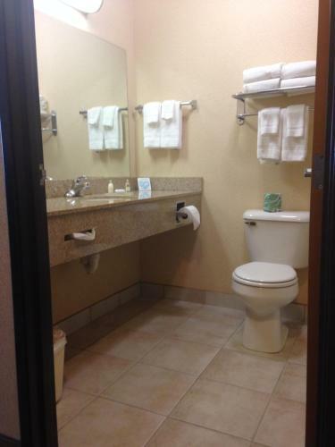 Hotel Boarders Inn & Suites - Shawano