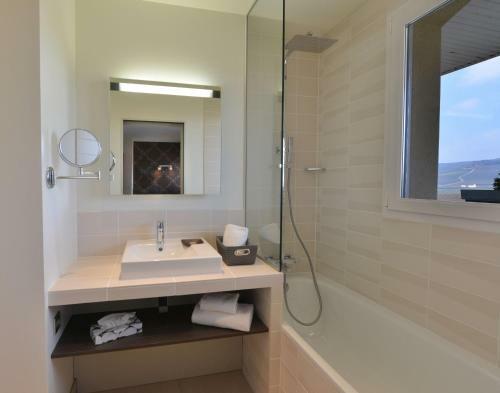 Hotel Les Grains D'argent Dizy - Epernay