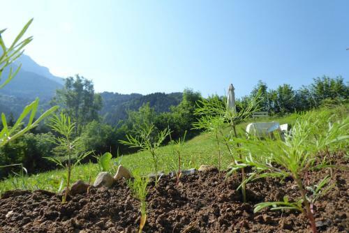 Bed & Breakfast La Chouette � L'heure Du Pinson