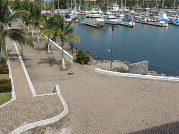 Hotel Marina Banderas Suites