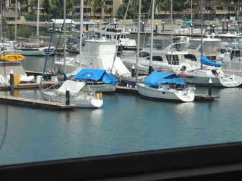 Hotel Marina Banderas Suites
