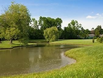 Hotel Days Inn Shelburne