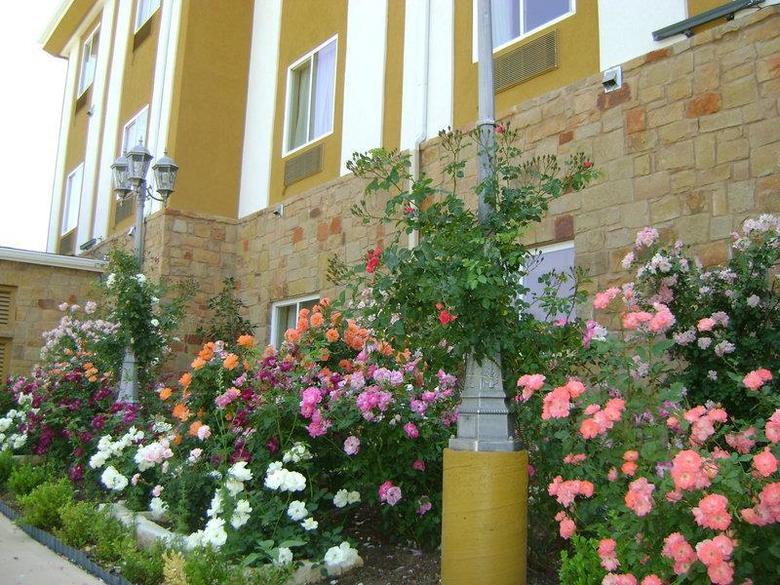 Hotel Best Western Plus Blanco Luxury Inn And Suites