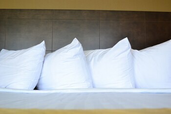 Hotel Best Western University Inn
