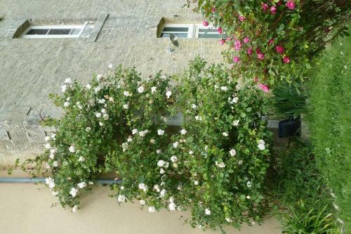 B&B L'atelier Du Presbyt�re