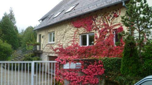 Bed & Breakfast Bois Joli De La Frey�re