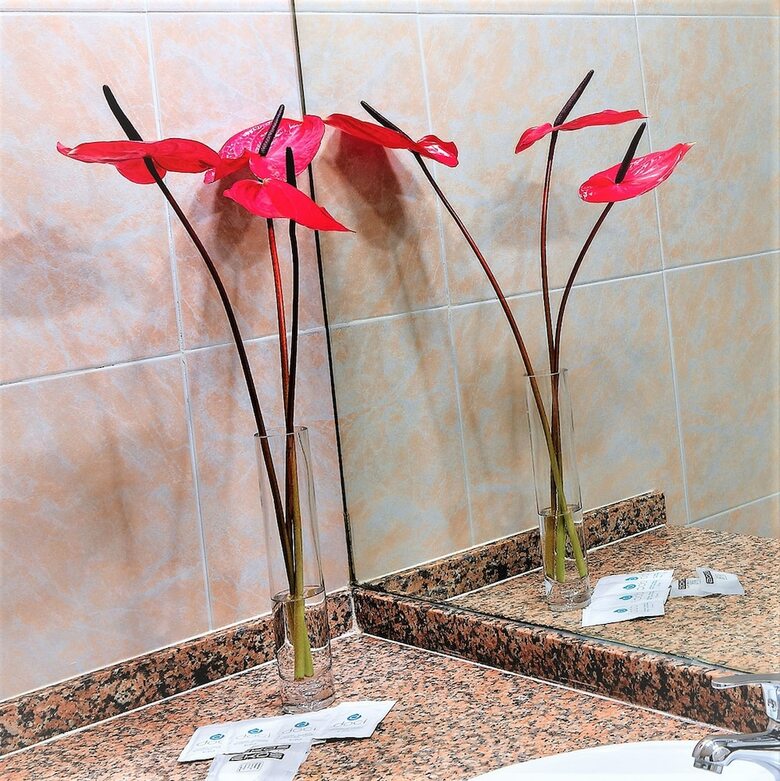 Hotel Relaxia Beverly Park