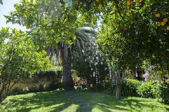 Hotel Las Calas