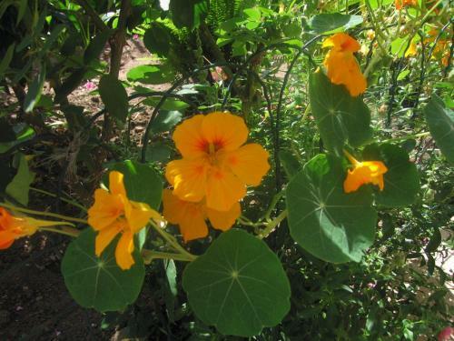 Apartamento Villa Paradise