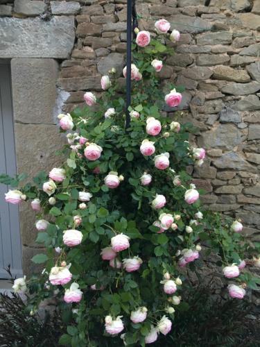 Bed & Breakfast La Pierrerie