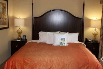 Hotel Homewood Suites By Hilton Davidson