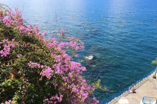 Apartments Madeira Old Town