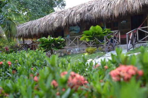 Lodge Posadas Ecoturisticas Seineken