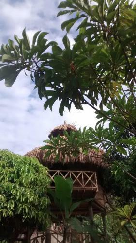 Lodge Posadas Ecoturisticas Seineken
