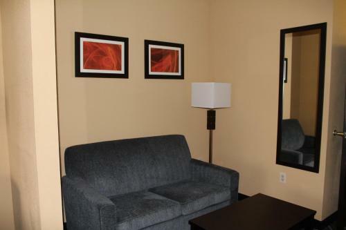 Hotel Comfort Suites Lake Ray Hubbard