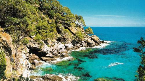Hotel H�tel De Flore