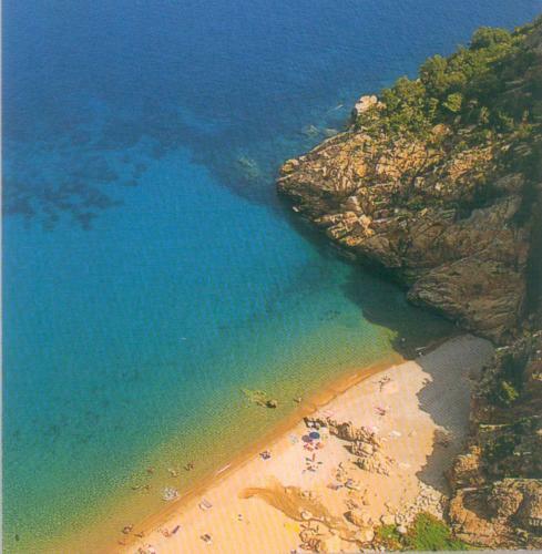 Apartamento Appartement La Potini�re