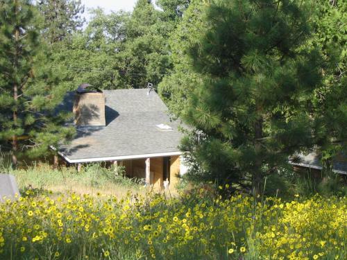 Fivespot Cabin