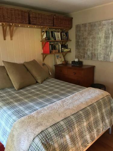 Fivespot Cabin