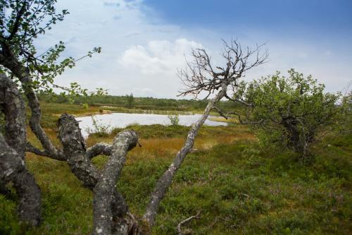 Albergue Fulufj�llsg�rden