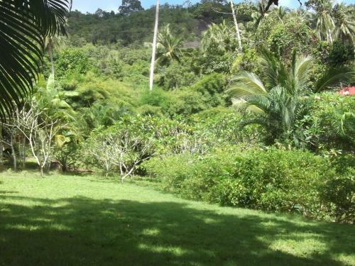 Hotel Wilai Villa Lamai