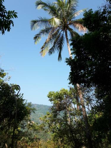 Hotel Wilai Villa Lamai
