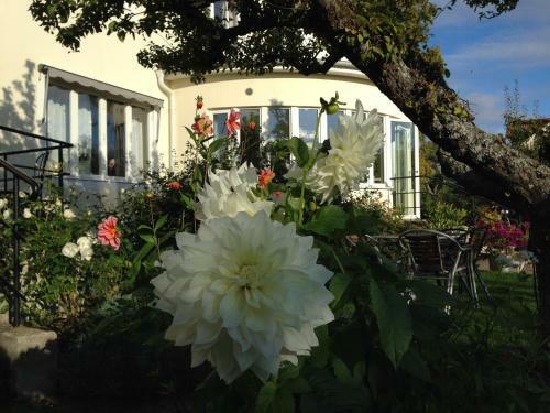 Hotel Villa Ingrid