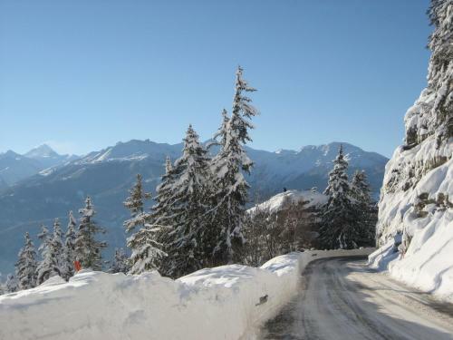 Chalet Xenia