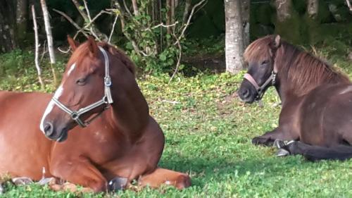 �lgbergets Bed & Breakfast