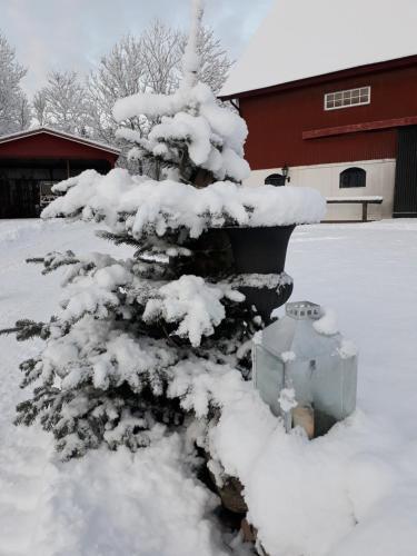 �lgbergets Bed & Breakfast
