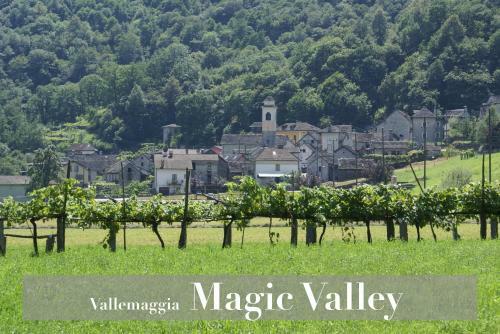 Hostal Pensione Ca' Serafina