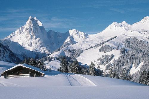 Heidi Chalet