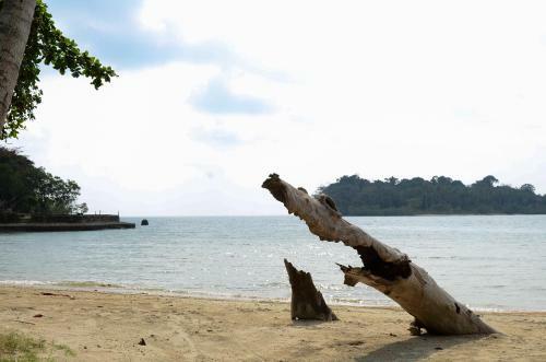Hotel Siam Bay Resort