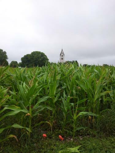 Agroturismo Gothem Logi