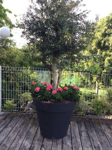 Bed & Breakfast Le Lavoir